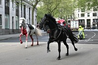 Άλογα καλπάζουν ανεξέλεγκτα στο Λονδίνο - Τουλάχιστον τέσσερις τραυματίες 