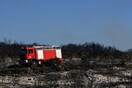 Δήμαρχος Κυθήρων: Κάηκε το νησί επειδή ο αρχηγός της πυροσβεστικής ήθελε να «φάει» τον υπαρχηγό