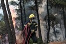 Λιβαδειά: Φωτιά σε δασική έκταση - Μεγάλη κινητοποίηση της πυροσβεστικής