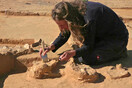 Ostrich eggs up to 7,500 years old found next to ancient fire pit in Israel