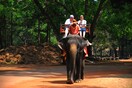 Τι παθαίνουν οι ελέφαντες που κουβαλούν για χρόνια τουρίστες στην πλάτη τους