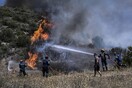 Φωτιά στη Μεσσηνία: Διπλό μέτωπο μεταξύ Βασιλιτσίου και Χρυσοκελλαριάς 