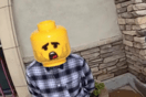 Lego κατά Αστυνομίας: Σταματήστε να βάζετε τα κεφάλια μας στις φωτογραφίες σας