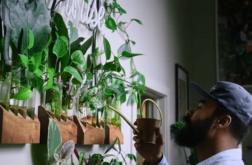 Ο Hilton Carter είναι επαγγελματίας «στυλίστας» φυτών