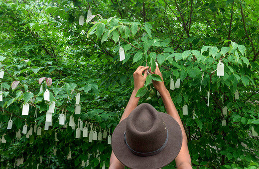 Το διάσημο Wish Tree της Γιόκο Όνο, στον καιρό της πανδημίας