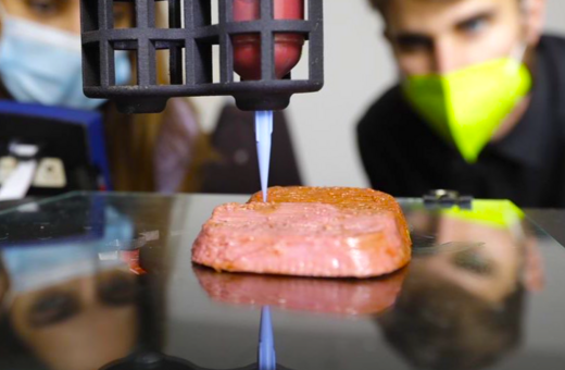 Εκτυπωμένες μπριζόλες από βλαστοκύτταρα και σκουλήκια: Τι κρέας θα τρώμε στο μέλλον;