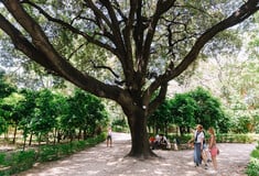 Τα δέντρα του Εθνικού Κήπου καταγράφονται ψηφιακά για πρώτη φορά