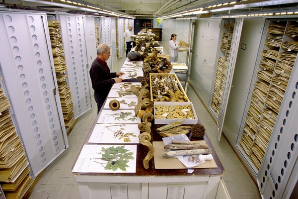 Στα άδυτα της μυστικής συλλογής του Μουσείου Φυσικής Ιστορίας Σμιθσόνιαν