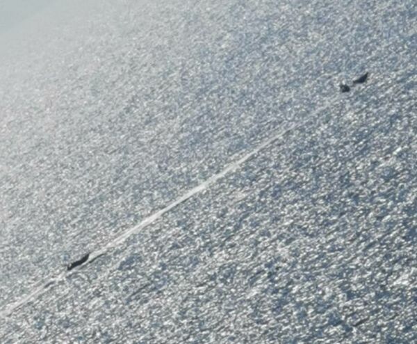 «Πλωτό τείχος» από το Πολεμικό Ναυτικό στο Oruc Reis κοντά στο Καστελόριζο - Φωτογραφίες