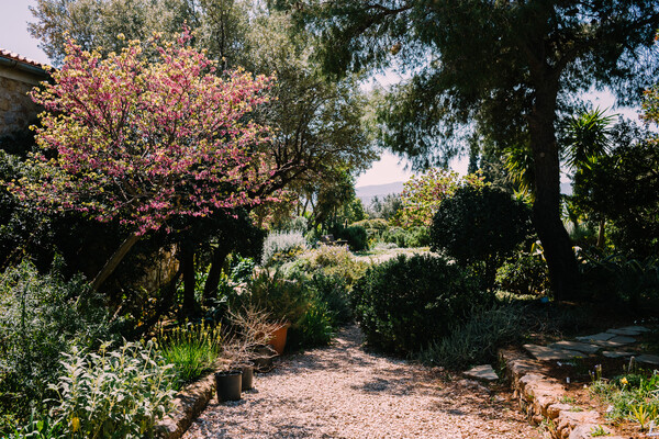 Μέσα σε έναν ονειρεμένο μεσογειακό κήπο στην Παιανία