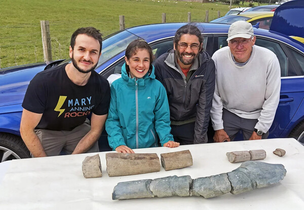 Βρετανία: 11χρονη ανακάλυψε απολιθώματα από το μεγαλύτερο θαλάσσιο ερπετό που υπήρξε ποτέ