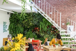 Mimosa neighborhood bistrot: Vegan friendly brunch σε έναν χώρο που θυμίζει αυλή 