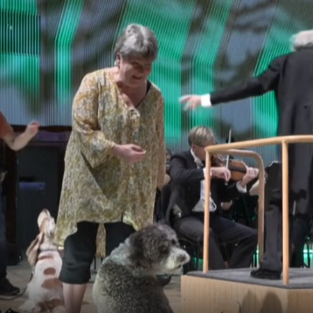 Σκύλοι σε ρόλο μουσικού: Ερμηνεύουν Μότσαρτ σε συναυλία στη Δανία 