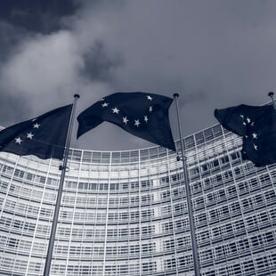 Ευρωεκλογές: Η ΕΕ ξεκινά έρευνα κατά Facebook και Instagram