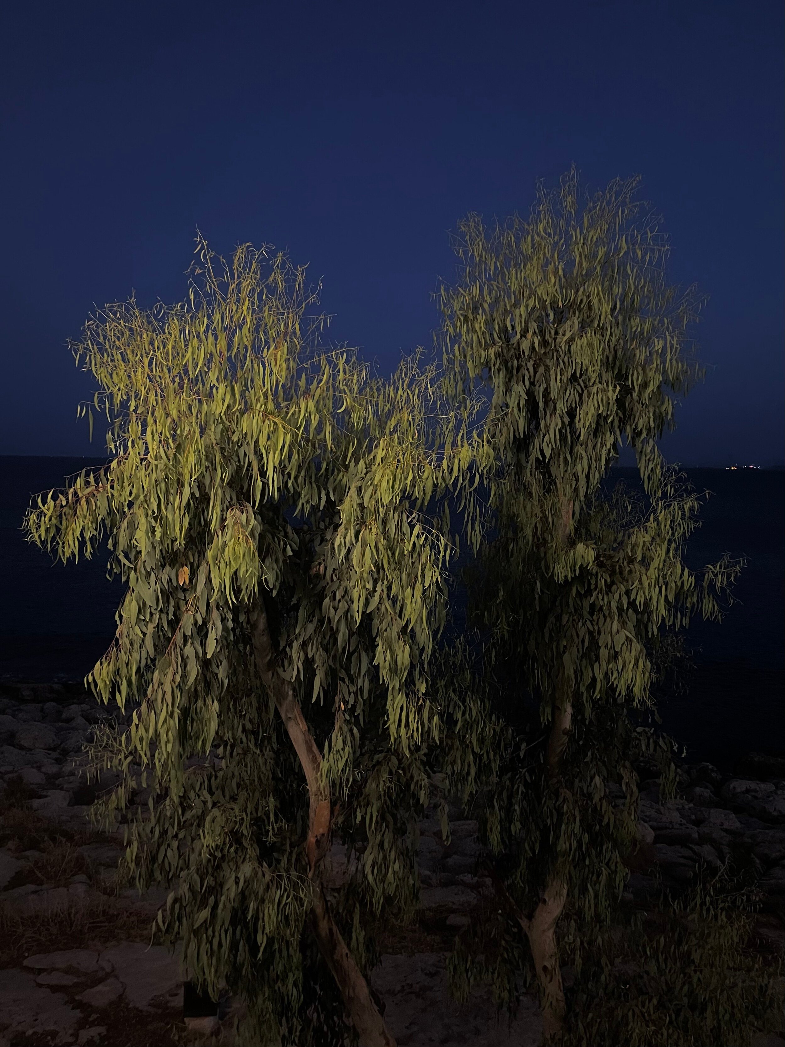 Τελευταίες μέρες στην πόλη... 