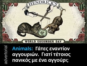 Hendrick's Cucumber Day TD Desktop #1