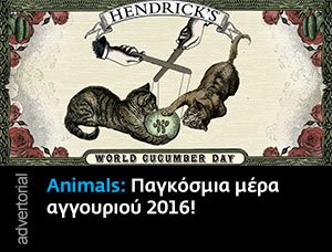 Hendrick's Cucumber Day TD Desktop #2