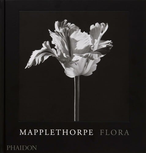 Mapplethorpe