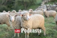 «Ο φραπές, ο χασάπης και η Πόπη με τη Φεράρι»: Γιατί κανείς δεν θέλει να γίνει αγρότης