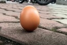 Η έκλειψη Ηλίου έκανε viral το «πείραμα» του όρθιου αυγού - Τι απαντούν οι επιστήμονες