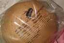 Καταγγελία για κατσαρίδα σε ψωμάκι μαθητή στα Άνω Λιόσια - Τι αναφέρουν γονείς και δήμος