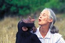 «Δείξαμε ασέβεια στα ζώα - Ο κορωνοϊός να γίνει μάθημα στην ανθρωπότητα», λέει η φημισμένη πρωτευοντολόγος Τζέιν Γκούντολ
