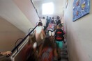Έκτακτα μέτρα για μαθητές και φοιτητές από τις πληγείσες περιοχές Μαραθώνα και Ραφήνας