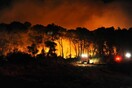 Μάχη με τις φλόγες στη Στροφυλιά - Τεράστια η καταστροφή στο προστατευόμενο δάσος Κουνουπελίου