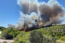 Μεγάλη πυρκαγιά στο Λαύριο: Εκκενώνονται προληπτικά οικισμοί - Βίντεο