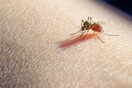 ΙΣΑ για ιό Δυτικού Νείλου: Σχολαστική τήρηση στα ατομικά μέσα προστασίας από τα κουνούπια