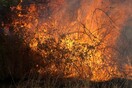 Πυρκαγιά στα Καλύβια Θορικού - Εντολή για απομάκρυνση κατοίκων