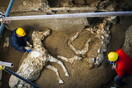 Εντυπωσιακή ανακάλυψη στην Πομπηία - Ατόφιο άλογο με περίτεχνα στολίδια και χαλινάρια