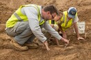 ΗΠΑ: Απολιθώματα δεινοσαύρου 68 εκατ. ετών εντοπίστηκαν τυχαία από εργάτες