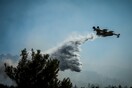 Πολύ υψηλός κίνδυνος πυρκαγιάς στα νησιά του Ιονίου τον Δεκαπενταύγουστο