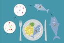 Πως να εντοπίσετε τα μικροπλαστικά μέσα στα φρέσκα ψάρια