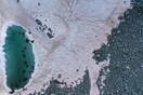 Άλγη «έβαψε» ροζ τις Ιταλικές Άλπεις - Έντονη ανησυχία για το λιώσιμο των πάγων
