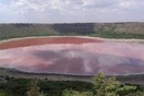 Ινδία: Η διάσημη λίμνη Μαχαράστρα έγινε ροζ μέσα σε λίγες ώρες