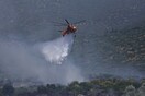 Φωτιά στη Νέα Μάκρη - Ισχυρές δυνάμεις της πυροσβεστικής στο σημείο
