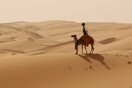 Βόλτα με καμήλα στην έρημο Liwa, με το Google Street View