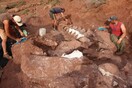 Αργεντινή: Απολιθώματα δεινοσαύρου ίσως ανήκουν στο μεγαλύτερο ζώο που έζησε στη Γη