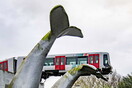 Ολλανδία: Γλυπτό σε σχήμα φάλαινας έσωσε συρμό του μετρό που εκτροχιάστηκε σε ύψος 10 μέτρων