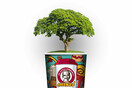 Δράσεις Περιβαλλοντικής συνείδησης Mikel Coffee Company
