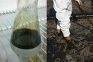 Έλληνες επιστήμονες στη «μάχη» κατά της πετρελαιοκηλίδας: «Πετρελαιοφάγα» βακτήρια μπορούν να καθαρίσουν φυσικά τον Σαρωνικό