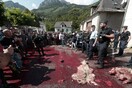 Σοκαριστική διαδήλωση στη Γαλλία για δύο αρκούδες (ΣΚΛΗΡΕΣ ΕΙΚΟΝΕΣ)