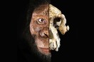 Ένα προϊστορικό κρανίο αποκαλύπτεται και ίσως αλλάζει τα επιστημονικά δεδομένα για την ανθρώπινη εξέλιξη
