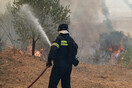 Λαύριο: Φωτιά σε δασική έκταση - Κινητοποίηση της Πυροσβεστικής 