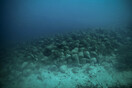 Αλόννησος: Ανοίγει τις «πύλες» του αύριο το πρώτο υποβρύχιο μουσείο της Ελλάδας
