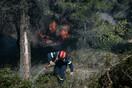 Φωτιά στην Κεφαλονιά: Στάχτη πάνω από 6.000 στρέμματα - Εικόνα από δορυφόρο 
