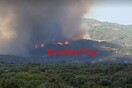Μεγάλη φωτιά στη Ζήρια Αχαΐας: Εκκενώθηκαν τρεις οικισμοί - Εντολή να κλείσει η Εθνική Οδός στο Δρέπανο 