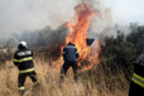 Πυρκαγιά σε δασική έκταση στην περιοχή Αλαφόκαστρο στους Δελφούς